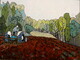 Vintage Cultivation for a Native Meadow  Acrylic on canvas 30"x40"   Artist collection.      The old 1963 Ford Super Dexta tractor at work.