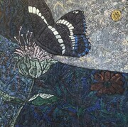 White Admiral  30”x30” acrylic on canvas